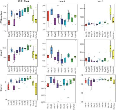 Homogeneous environmental selection mainly determines the denitrifying bacterial community in intensive aquaculture water